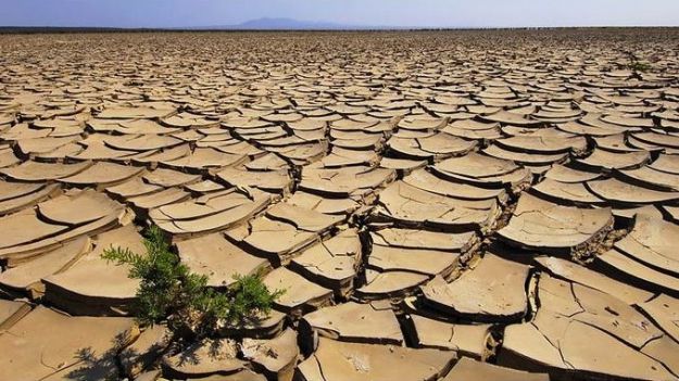 cambiamenti-climatici-terreni-agricoli-desertificazione[1]